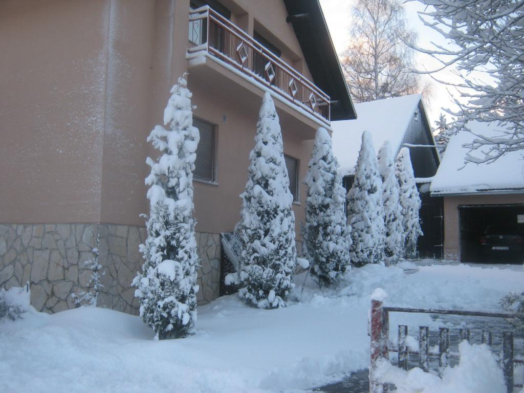 فندق Vrelo Koreničkoفي  House Pribic المظهر الخارجي الصورة